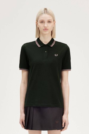 Fred Perry G3600 Night Green/Dark Pink/Dark Pink | FP70529