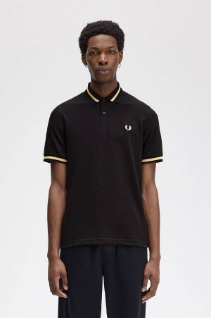 Fred Perry M2 Black/Champagne | FP69937